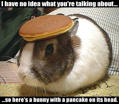 I have no idea what you're talking about... so here's a bunny with a pancake on its head.